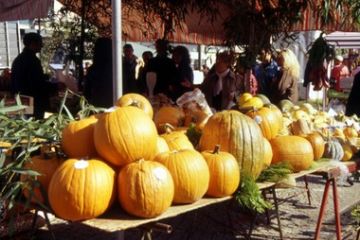 Sagra della Zucca